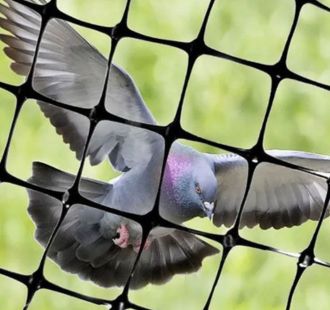 Pigeon proof net for residential balcony