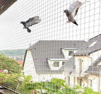 Commercial building pigeon control net