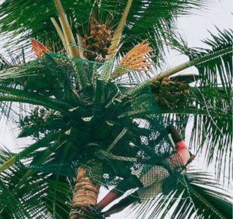 Park coconut protection netting
