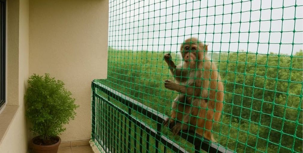 Monkey safety net installation for home protection