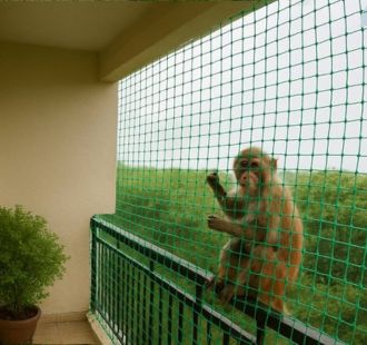 Monkey Safety Net