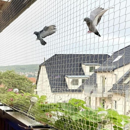 Pigeon Safety Nets for Balconies