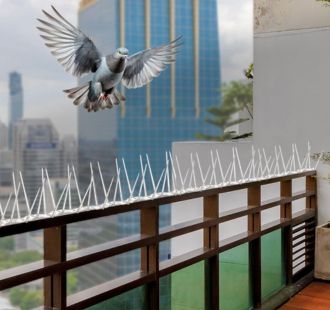 Commercial building pigeon control spikes